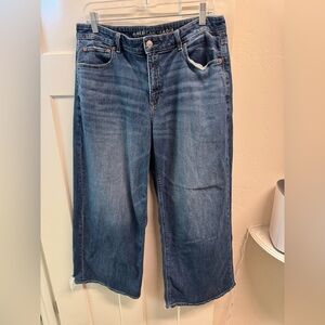 American Eagle Women's Jeans Wide Leg Baggy, 10 short petite